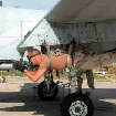 Militzar