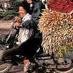 Transport