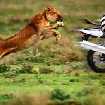 Motorcyklar